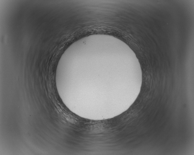 X0000081460769200701121040