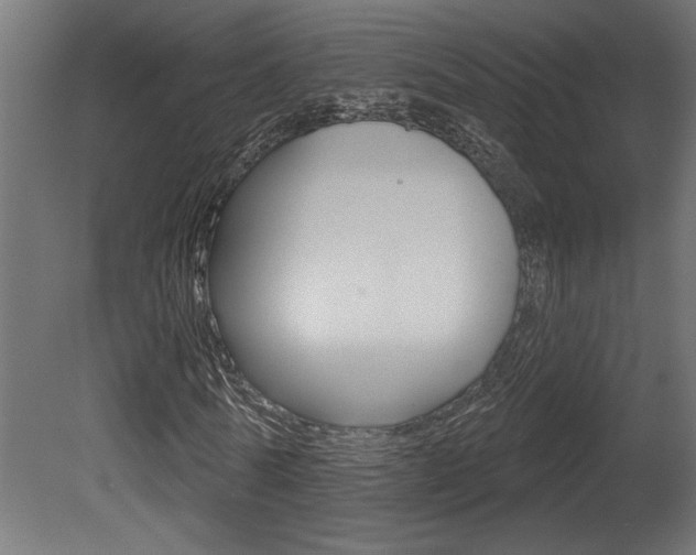 X0000081460770200701121040