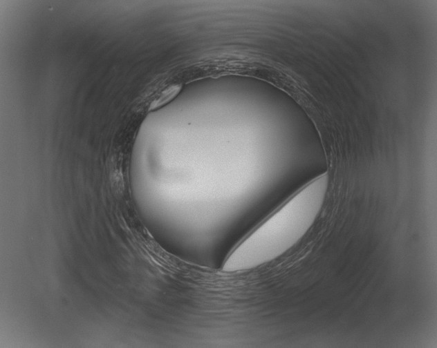 X0000081460771200701121040