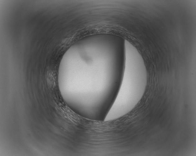 X0000081460772200701121040