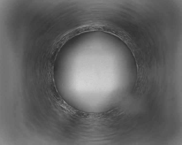 X0000081460773200701121040