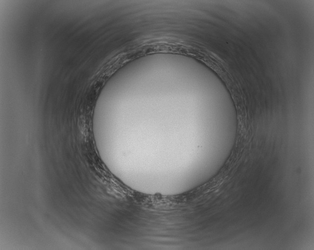 X0000081460774200701121040