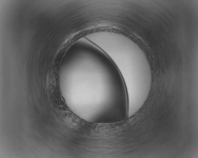 X0000081460776200701121040