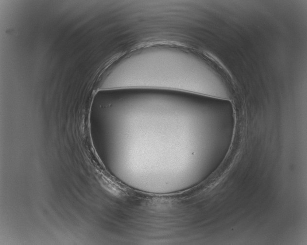 X0000081460777200701121040