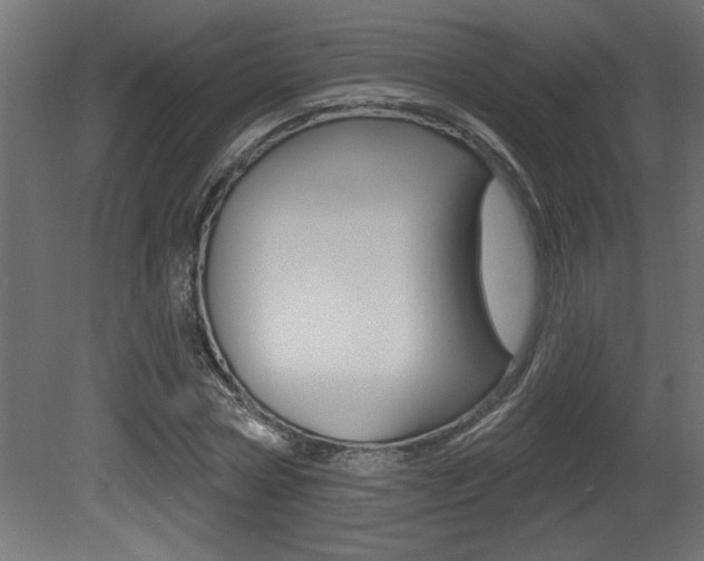 X0000081460778200701121040
