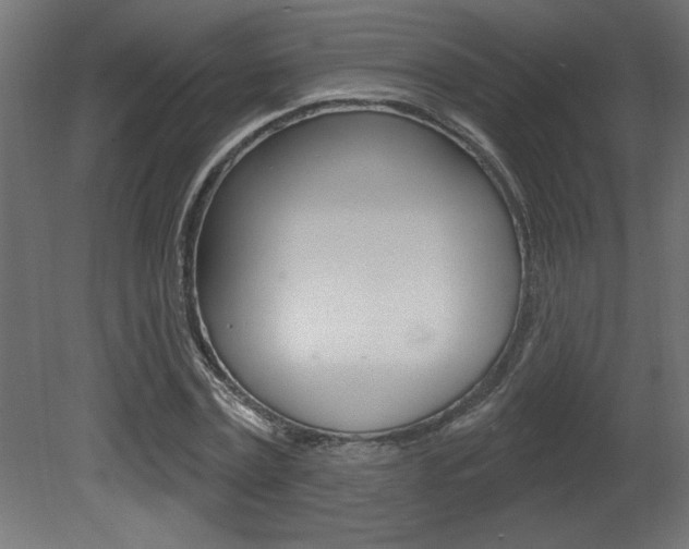 X0000081460779200701121040
