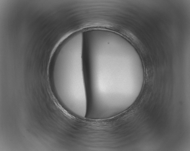X0000081460780200701121040