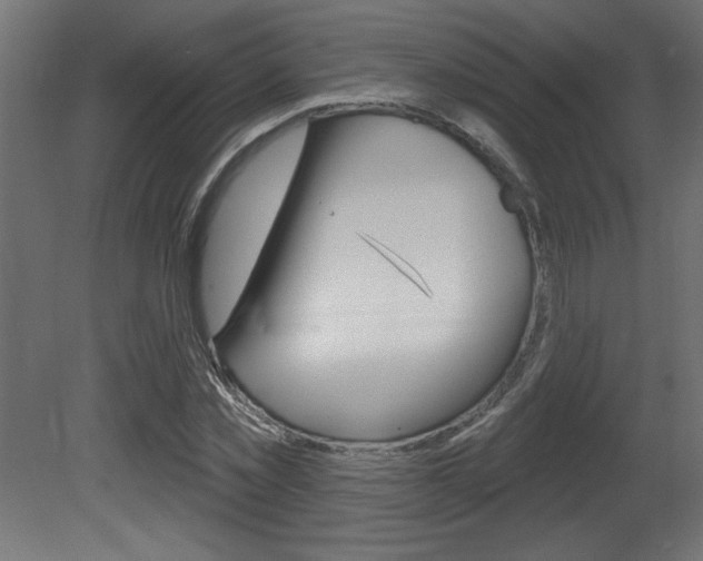 X0000081460781200701121040