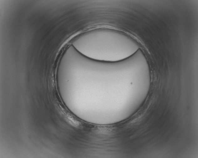 X0000081460782200701121040