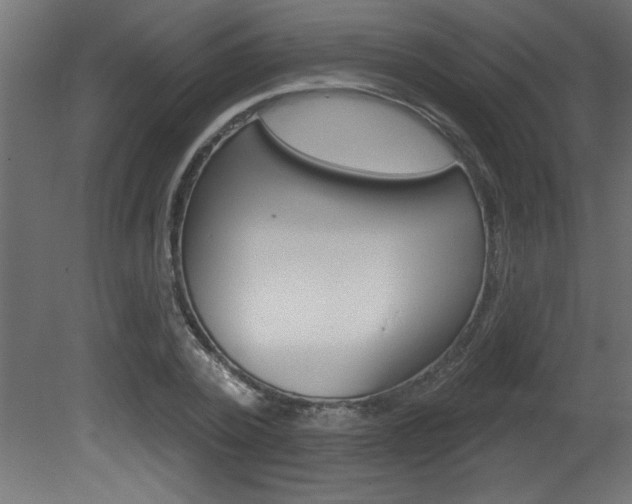 X0000081460784200701121040