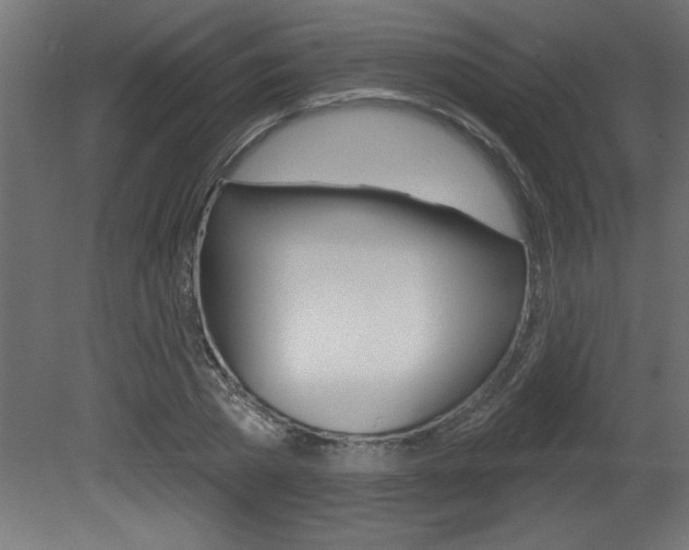 X0000081460785200701121040