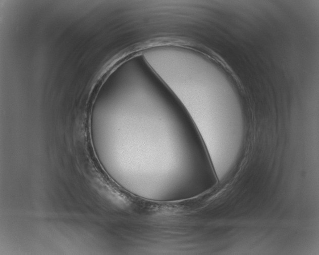 X0000081460786200701121040