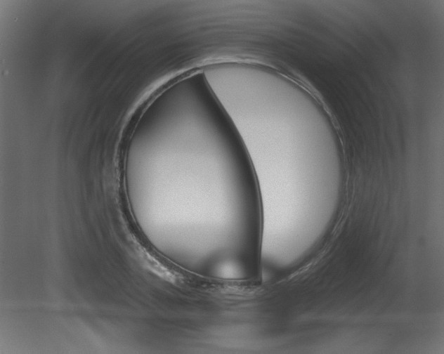 X0000081460787200701121040
