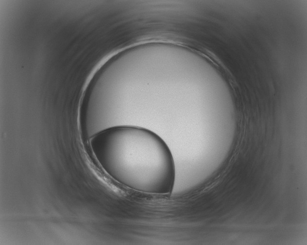 X0000081460788200701121040
