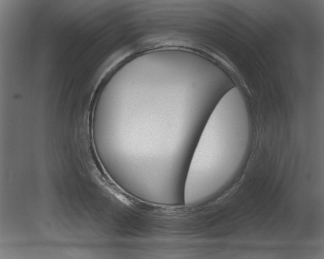 X0000081460790200701121040