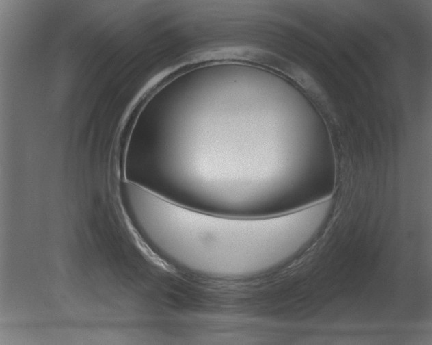 X0000081460792200701121040