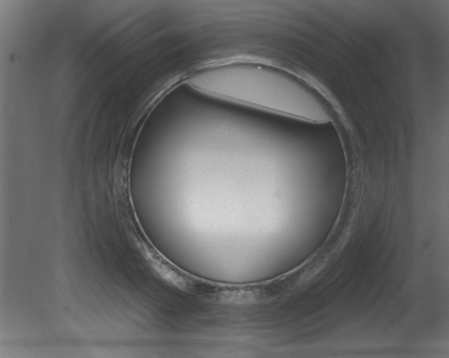 X0000081460793200701121040