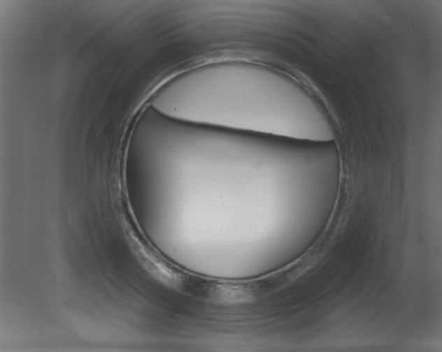 X0000081460794200701121040