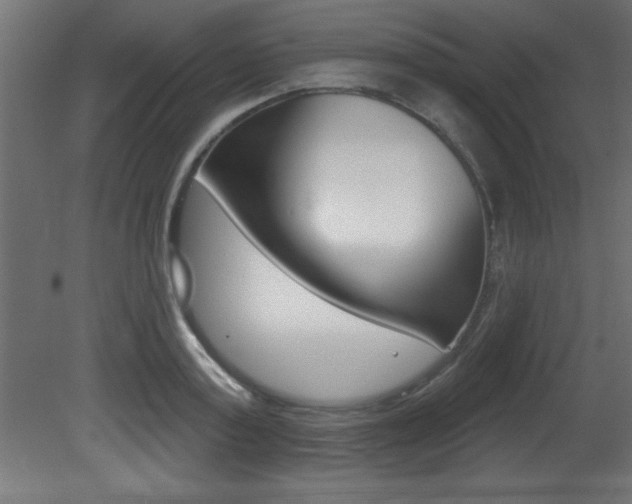 X0000081460795200701121040