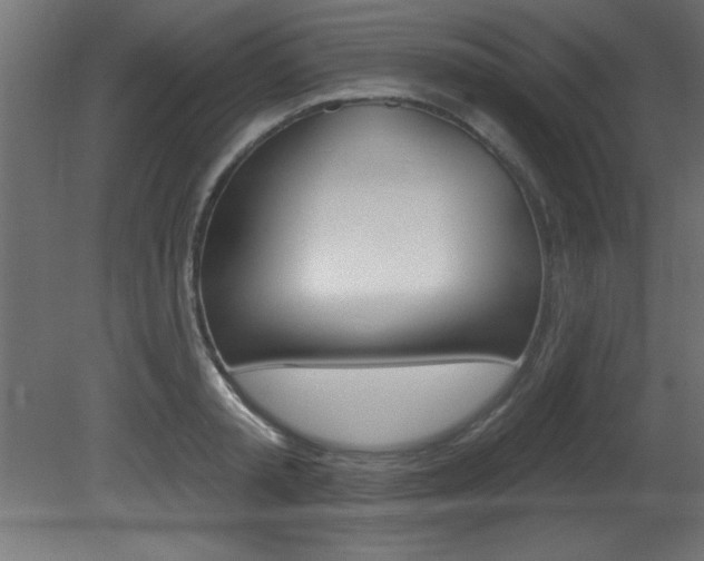 X0000081460797200701121040