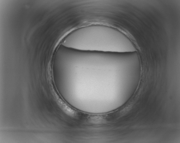 X0000081460798200701121040