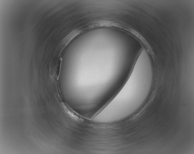 X0000081460801200701121040