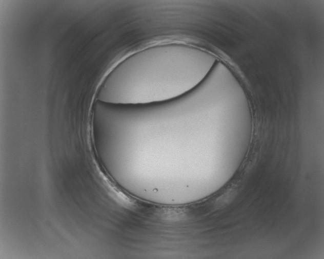 X0000081460802200701121040