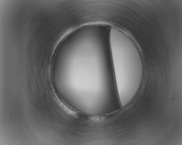 X0000081460805200701121040
