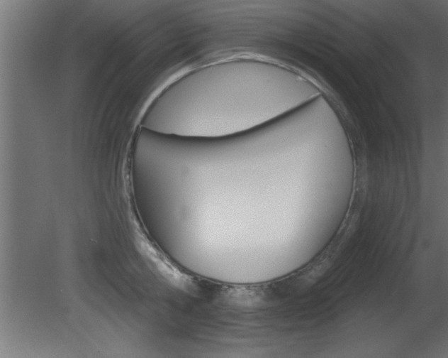 X0000081460806200701121040