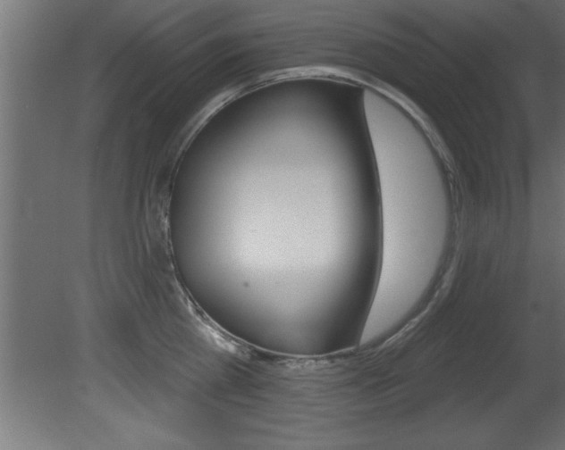 X0000081460809200701121040