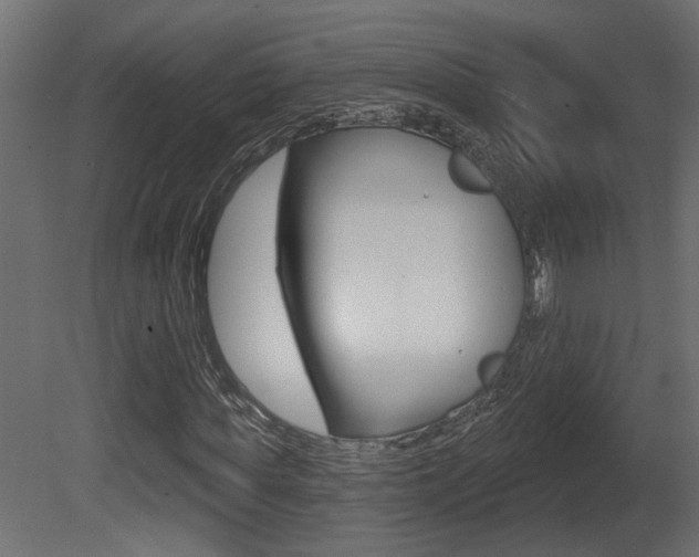 X0000081460819200701121039
