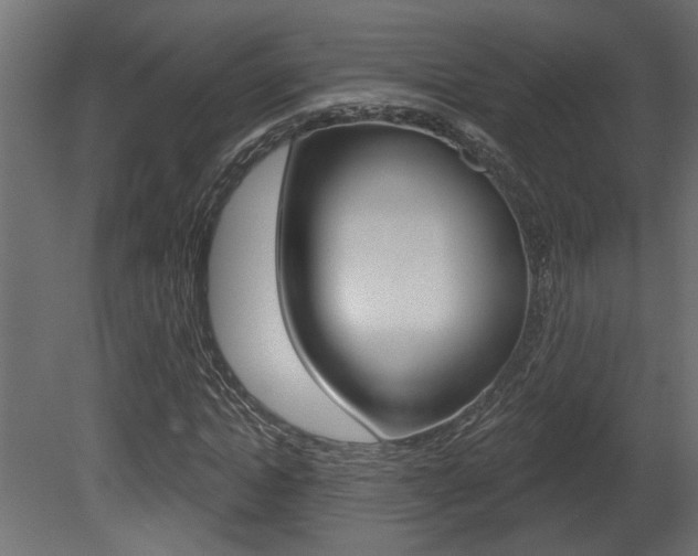 X0000081460822200701121039
