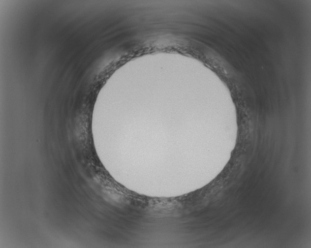 X0000081460824200701121039