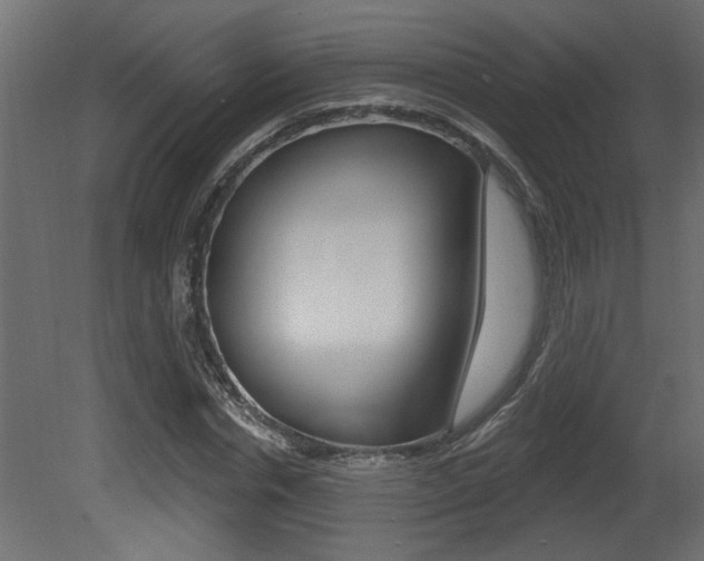 X0000081460826200701121039