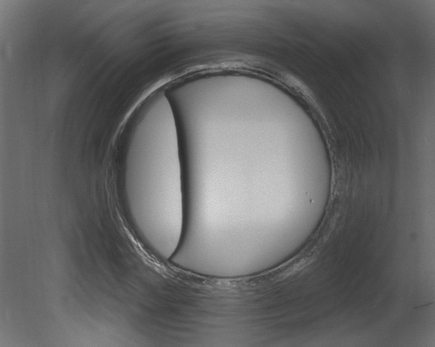 X0000081460827200701121039