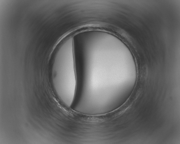 X0000081460829200701121039