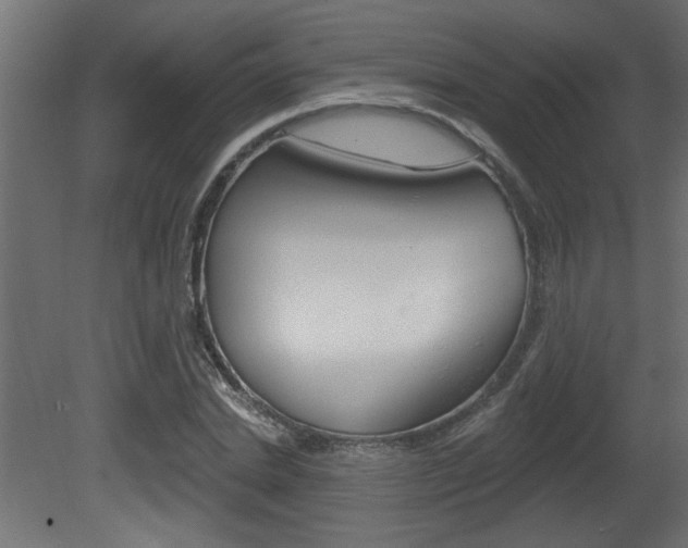 X0000081460830200701121039