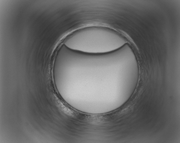 X0000081460831200701121039