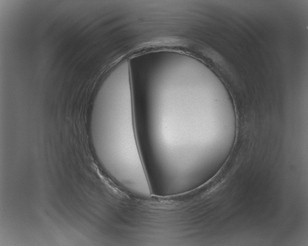 X0000081460833200701121039
