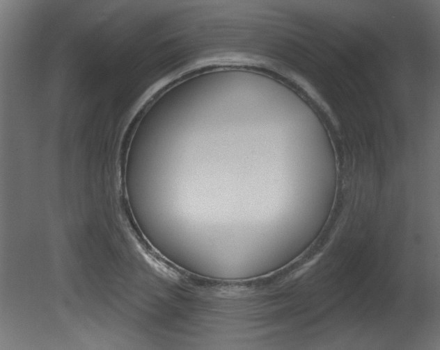 X0000081460837200701121039