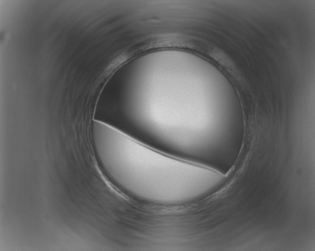 X0000081460841200701121039