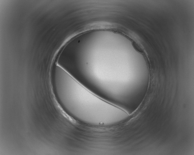 X0000081460843200701121039