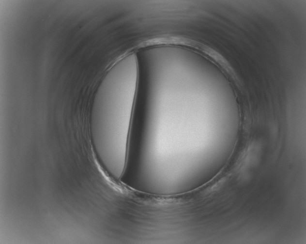 X0000081460849200701121039