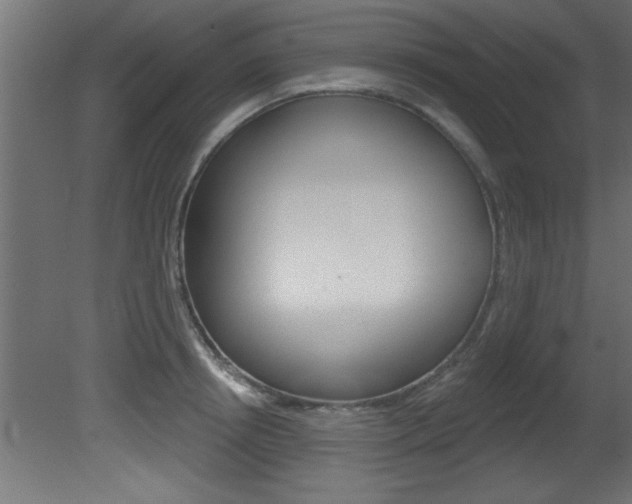 X0000081460850200701121039