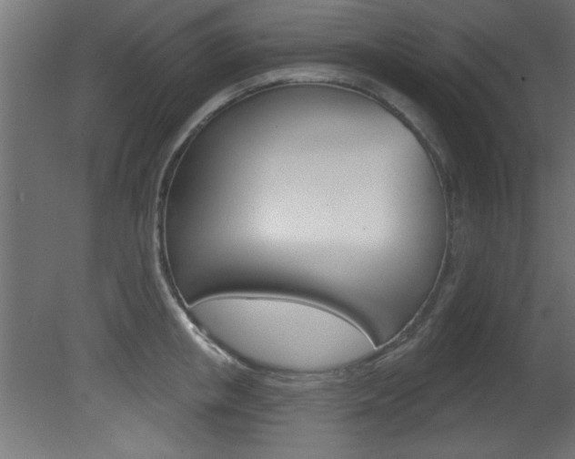X0000081460853200701121039