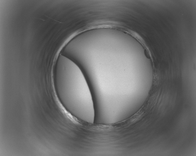 X0000081460859200701121039