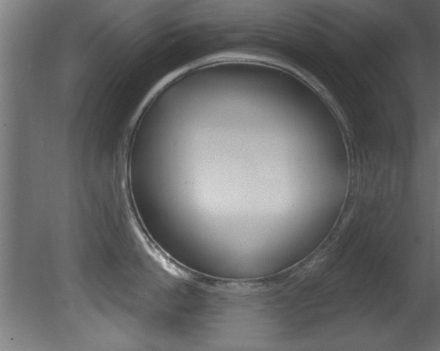 X0000081460862200701121040