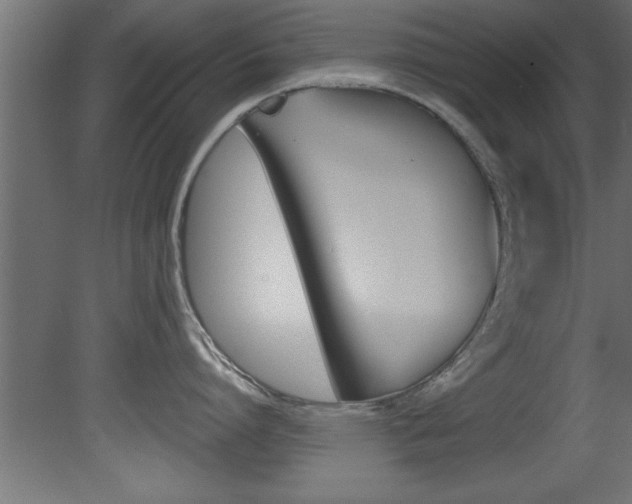 X0000081460864200701121040