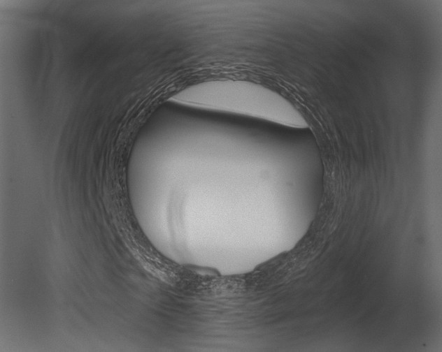 X0000081460865200701121039