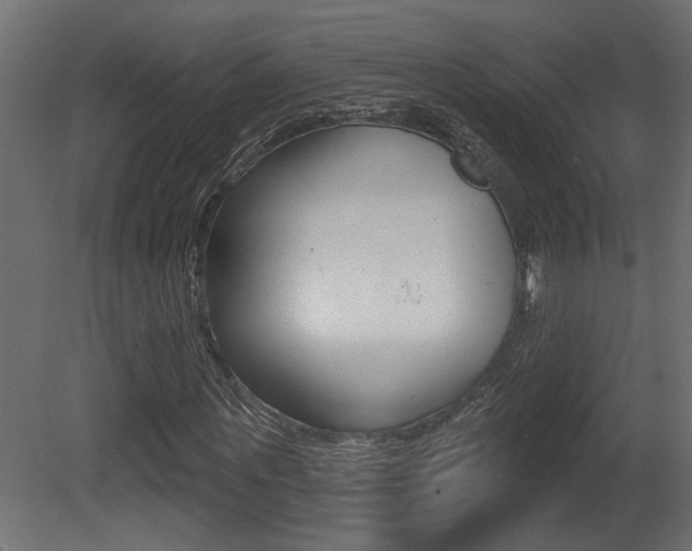 X0000081460867200701121039